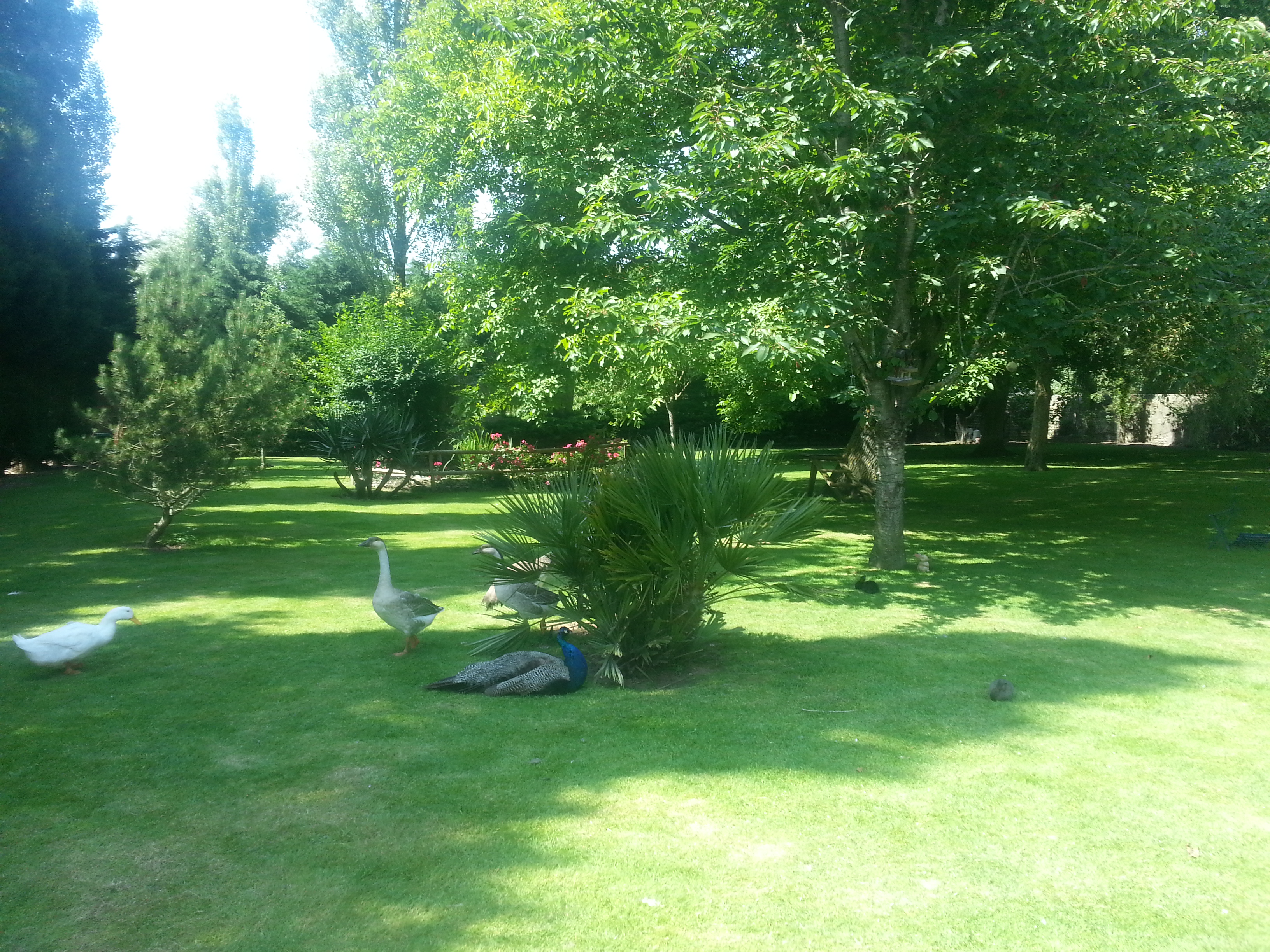 20140711_150724